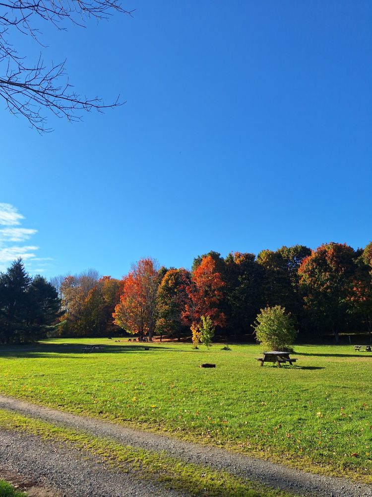 Grassy picnic area at Smileys provincial park