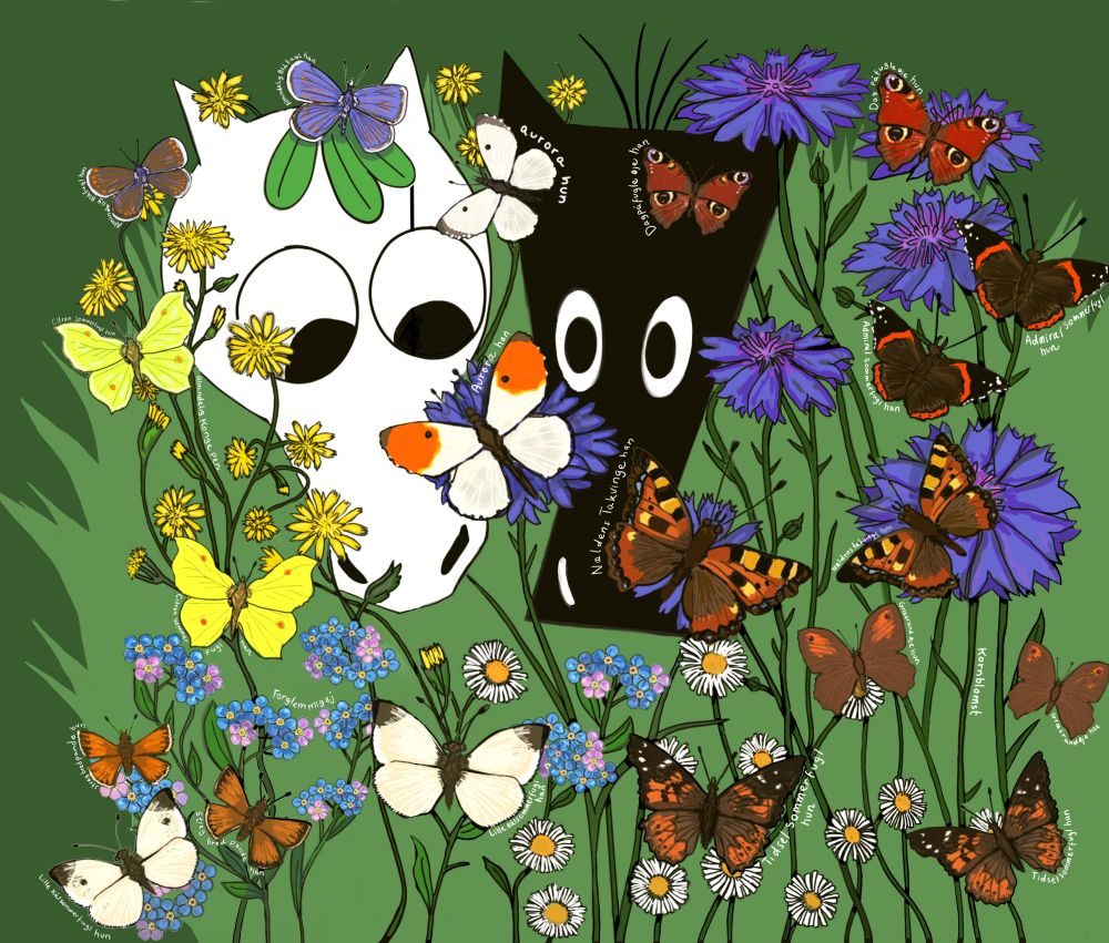 Fra en børnebog om mine karakterer Sort Hest og Hvid Hest. De er midt blandt blomster og sommerfugle