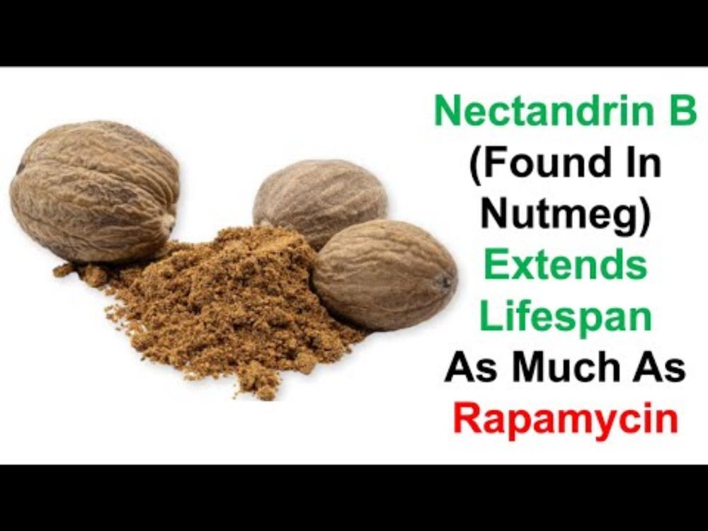 Nectandrin B (Found In Nutmeg) Extends Lifespan As Much As Rapamycin