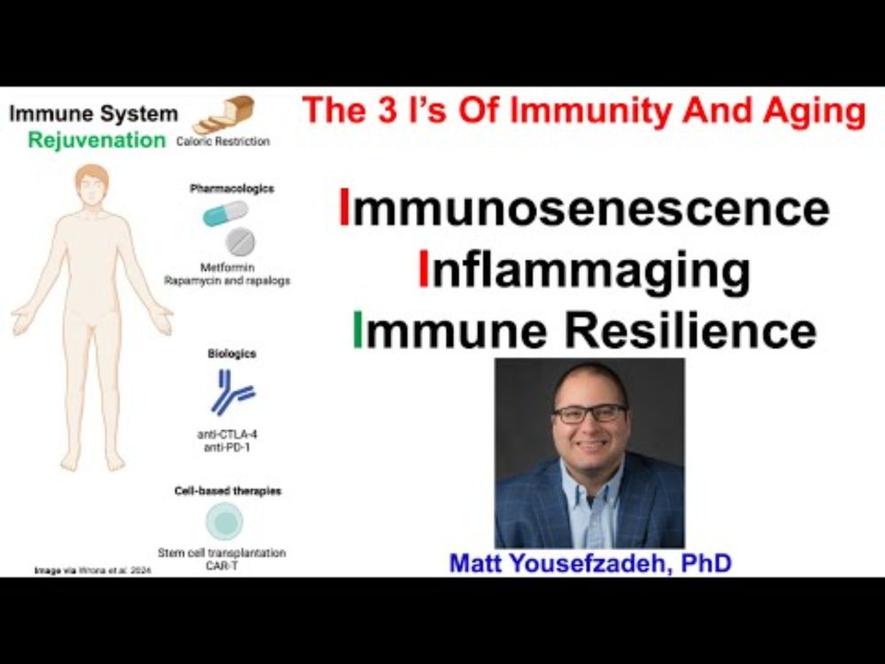 Immunosenescence, Inflammaging, And Immune Resilience: Matt Yousefzadeh, PhD