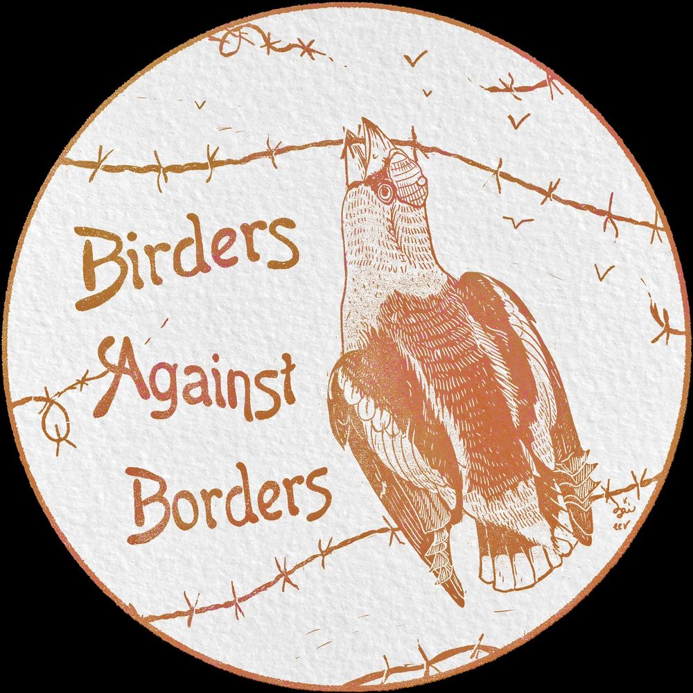 Vintage-style illustration in orange tones. A hawfinch is cutting barbed wire with its beak. A text reads "Birders against borders" 