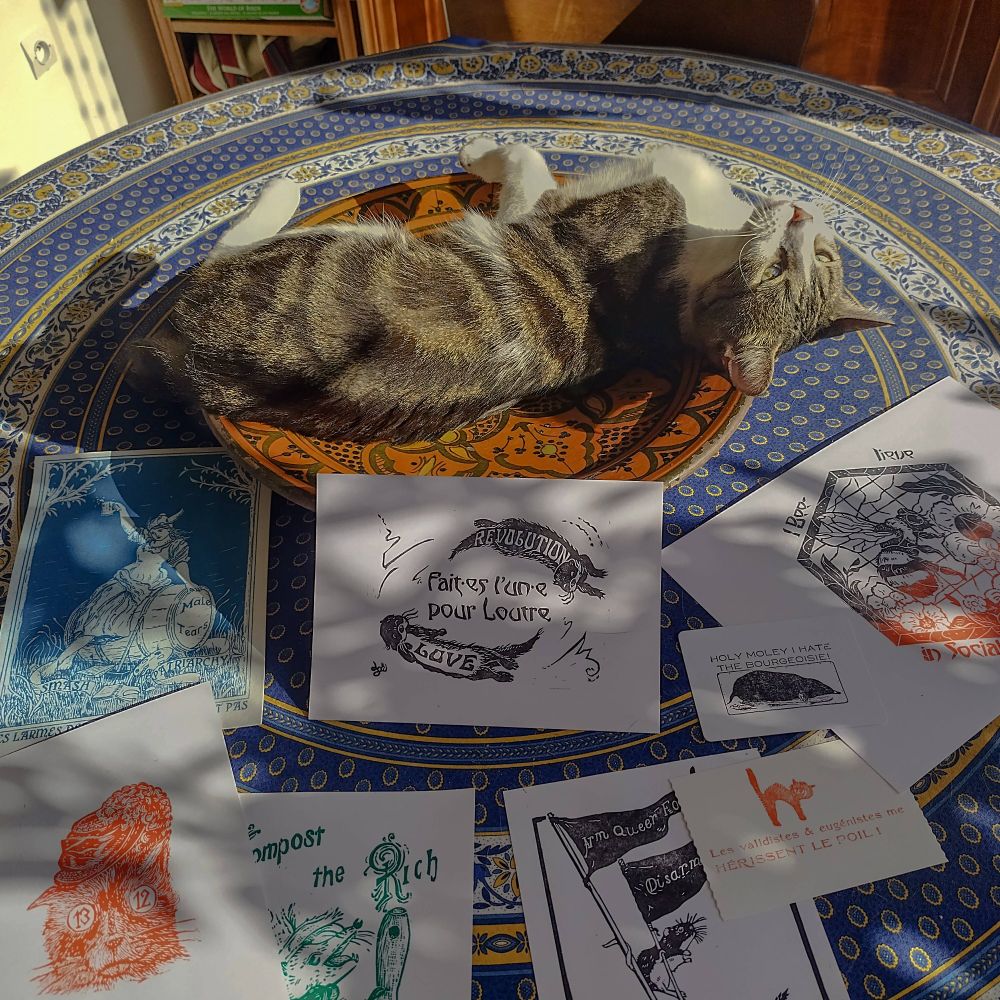 Pirate, un petit chat tigré blanc, qui prend le soleil allongé dans un plat en terre cuite sur une table. Devant lui se trouve plein de prints que j'ai réalisé avec ses thématiques anarchistes et des looks vintages mais colorés. 