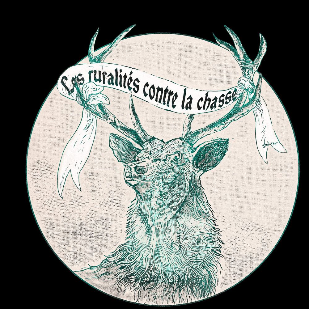 Gravure vintage dans les tons bleu-vert foncés et représentant une tête de cerf mécontent. Une bannière est accrochée à ses bois et indique "Les ruralités contre la chasse"