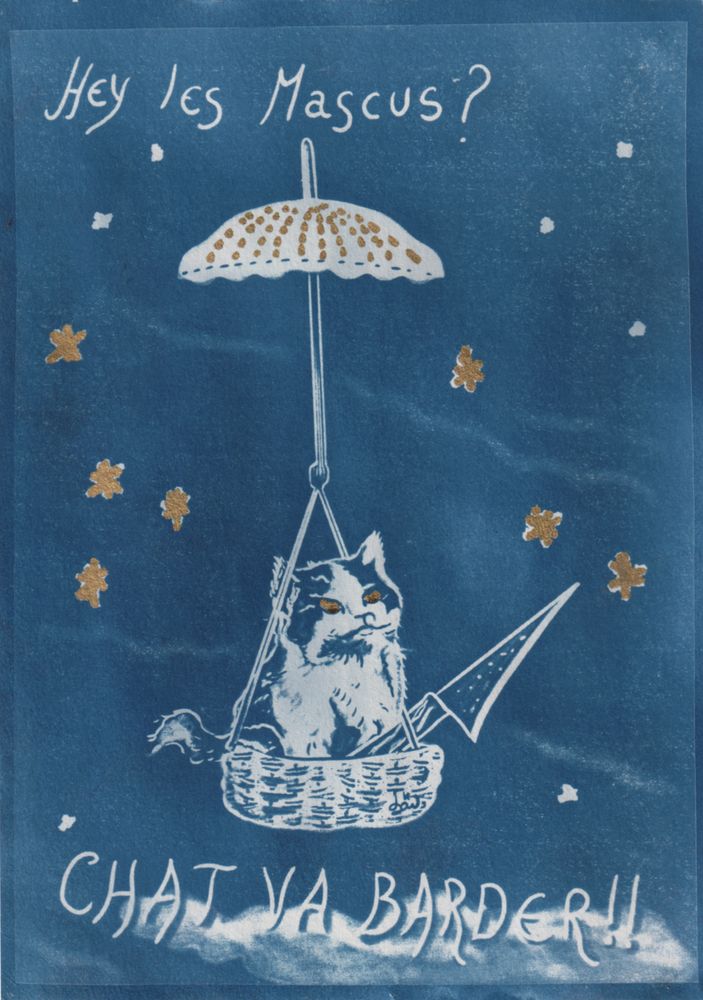 Cyanotype réhaussé de doré avec un petit chat tout mimi dans son panier attaché avec un parapluie qui lui permet de voler. Le petit chat a un air déterminé, un grand couteau et il dit "Hey les mascus ? Chat va barder".
