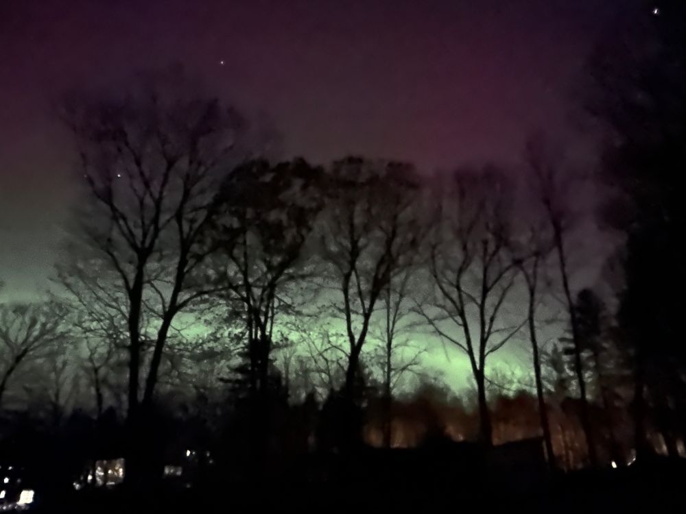 Green and purple aurora through trees