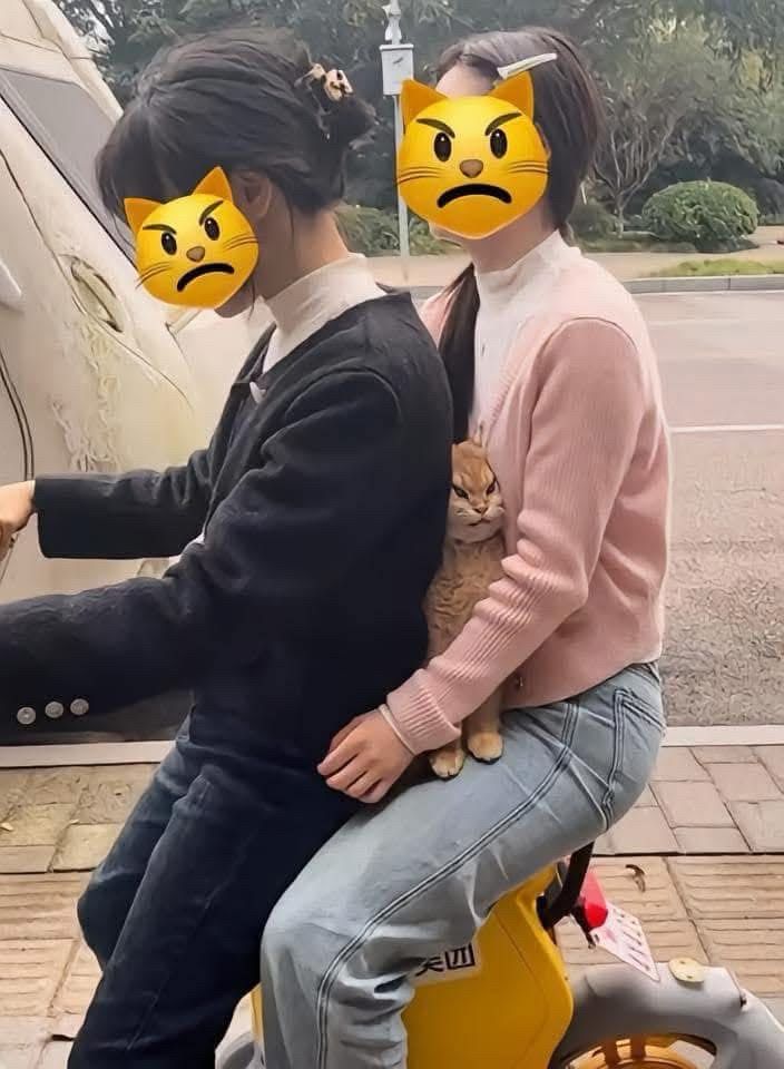 cat squished in between two people riding a bike