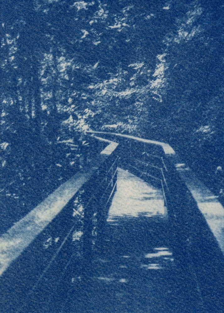 A cyanotype print of a long bridge through the fern grotto in Wailua. Located on the island of Kaua'i, the fern grotto is only accessible by boat on the Wailua River. In the print, a long walking bridge is seen winding through the dense trees and flowers. 