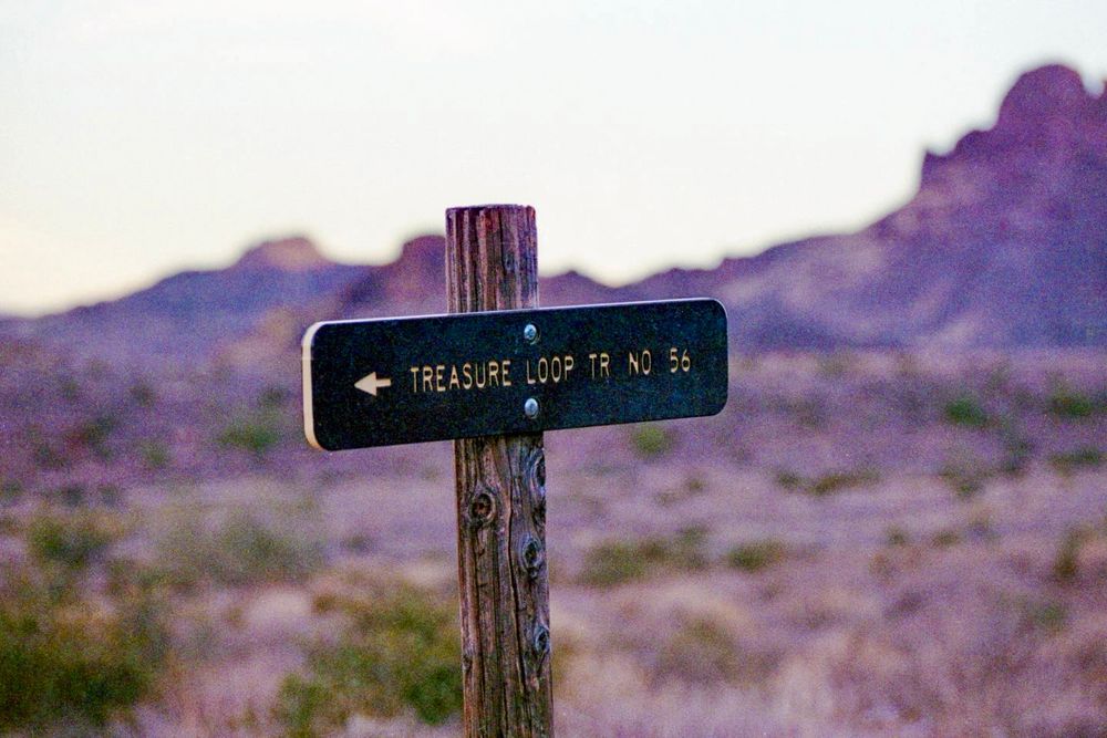 A photograph of the trail sign at the Superstition Mountains. The sign reads “Treasure Loop Tr No 56” and directs hikers to the correct path to stay on the trail. 