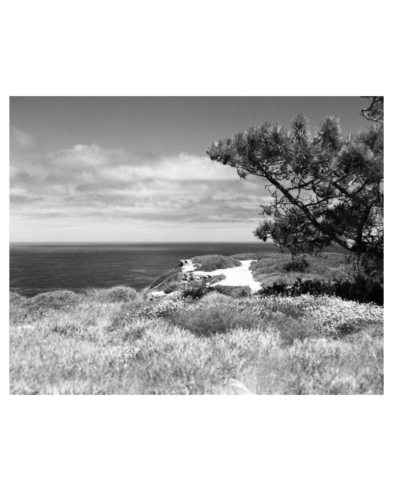 A black and white photograph of the cliffs at Point Loma. The Pacific Ocean is seen stretching into the distance over the cliff’s edge. 