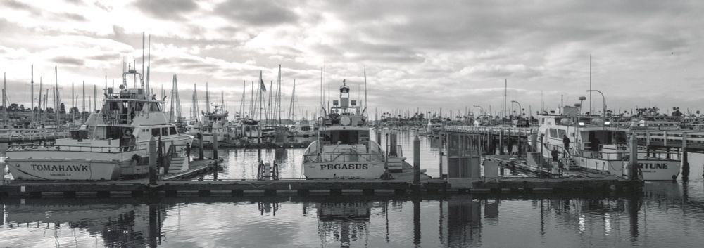 A panoramic image of boats docked in a marina. In the background, dozens more boats can be seen lined with fishing poles, waiting to head into the Pacific. 