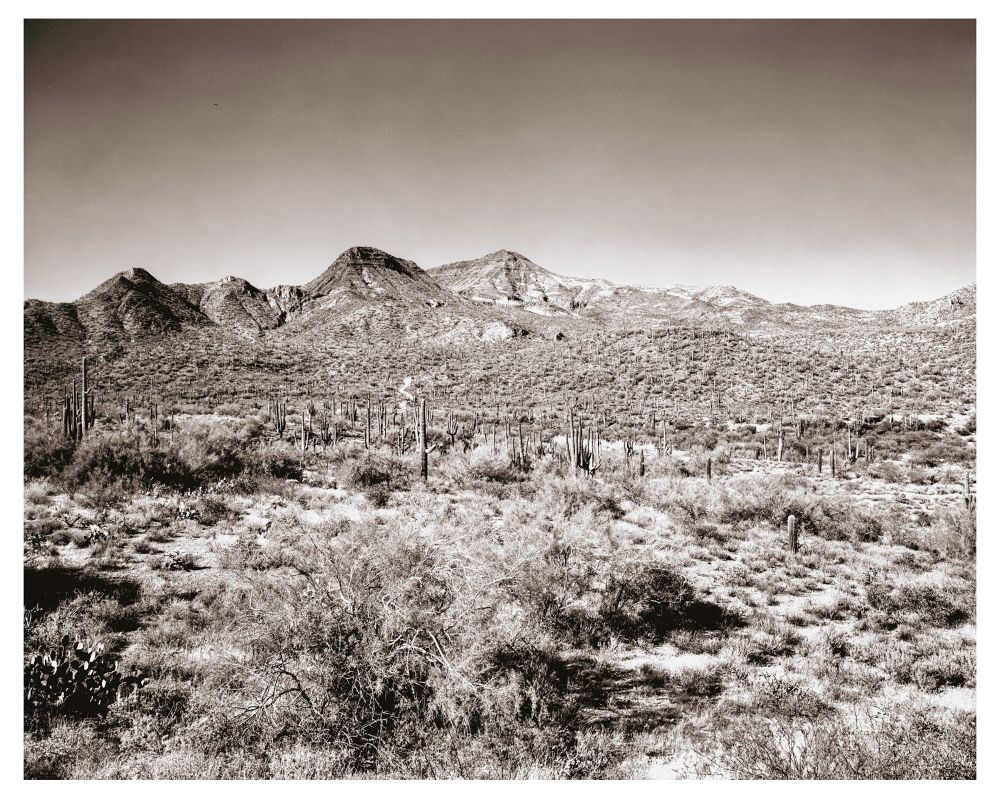 An 8x10 photograph of Spur Cross Conservation Area. Spur Cross is located in Cave Creek, AZ, and is partially made up of land from old cattle ranches. The ranchers would've raised cattle and driven them down Scottsdale Road for sale in town. A relic of a long forgotten time in this city, that's for sure.