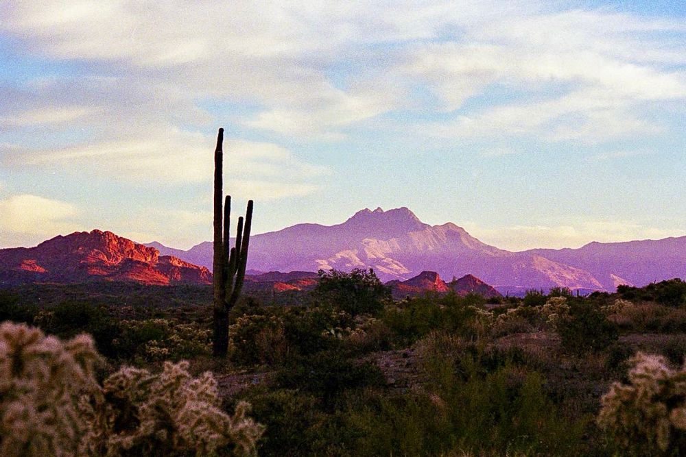 A photograph of Four Peaks taken on 35mm film. In the photo, the Peaks are in the background and a saguaro cactus can be seen towering in the foreground. 