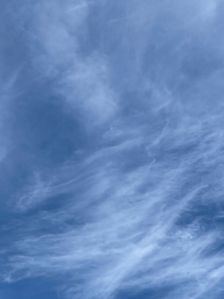 Blue skies streaked with white whispy clouds, like a lazy paintbrush trailed from side to side