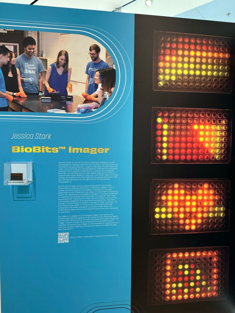 Hands-on learning sparks interest in STEM careers, but has been difficult to achieve for biology education. We created BioBits kits that make it possible to carry out biology experiments by just adding water to freeze-dried reactions. We built low-cost, portable equipment like the fluorescence imager shown here to further facilitate hands-on learning in classrooms. BioBits kits are now available commercially and have been used by thousands of students across 6 continents, and so promise to inspire the next generation of scientists. 
