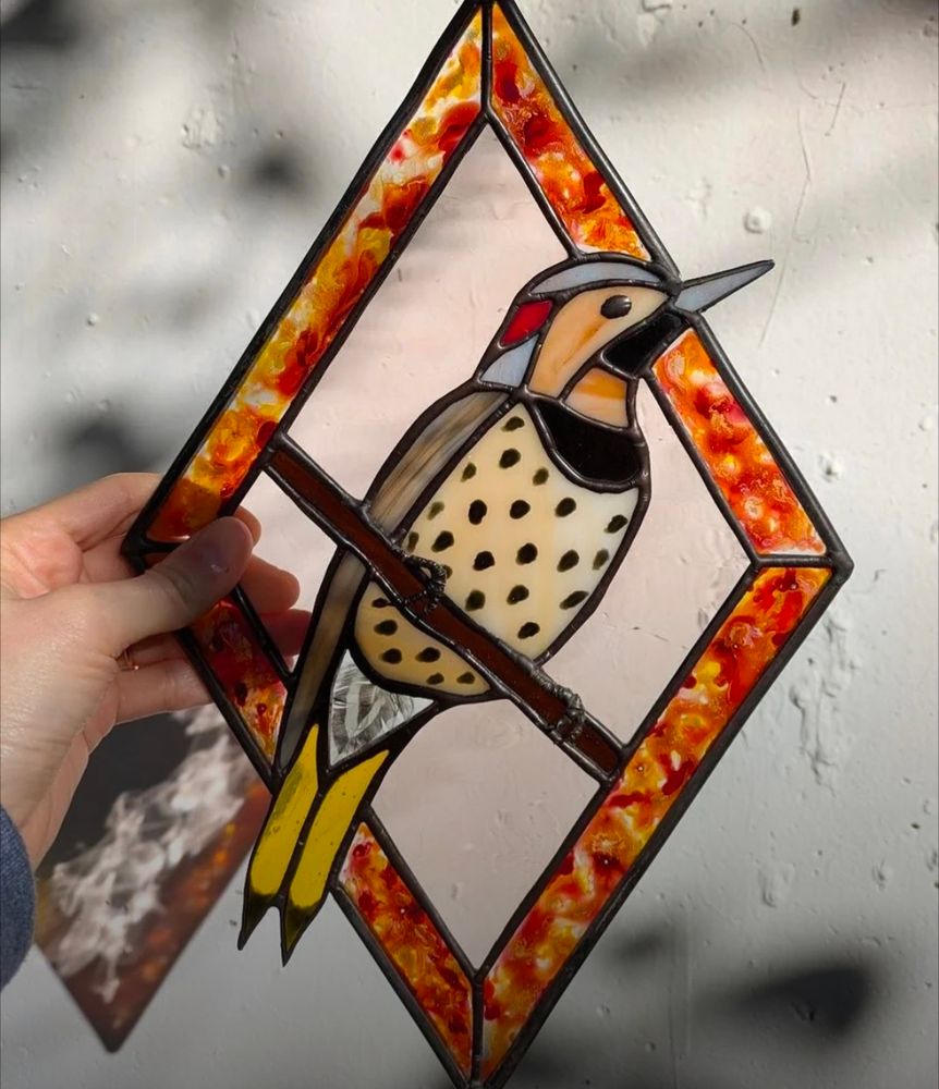 A stained glass northern flicker, framed in a diamond shape.