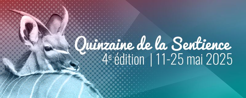 Visuel de la Quinzaine de la Sentience 4e édition du 11 au 25 mai 2025