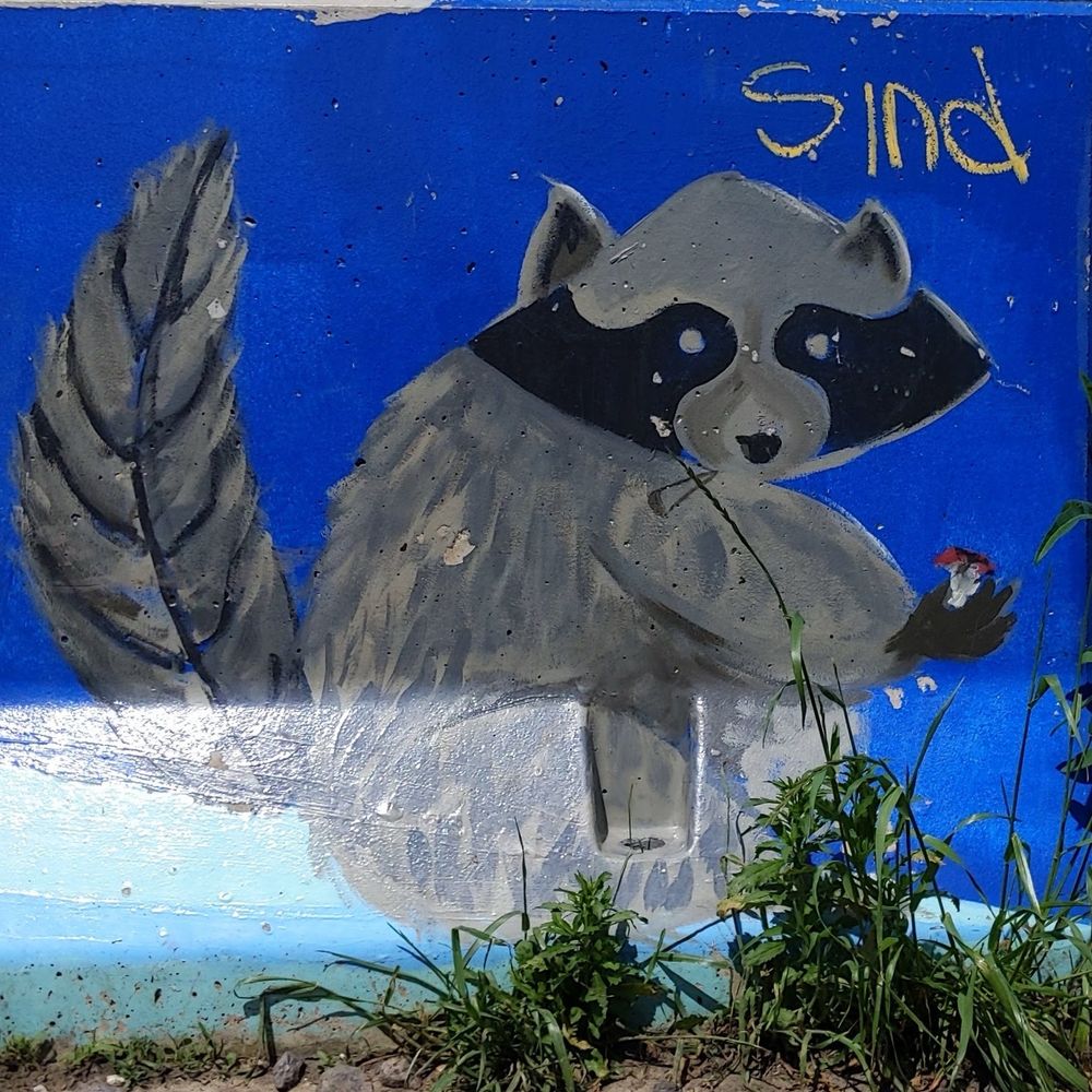 Mural of a raccoon holding an apple core