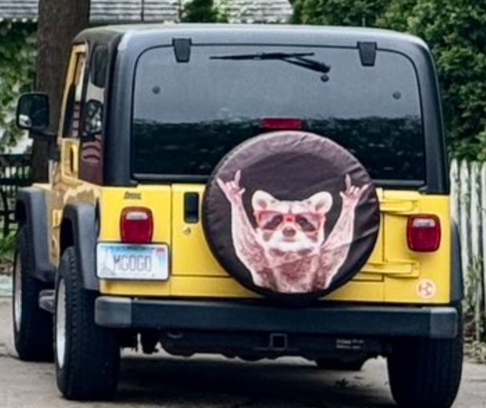 Zoomed in screenshot of the third picture from the OP to highlight a vinyl tire cover with an image of a raccoon with sunglasses holding up their fingers in a hang loose