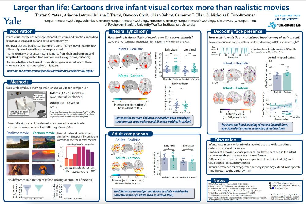 Poster of awake infant fMRI data during movie-watching