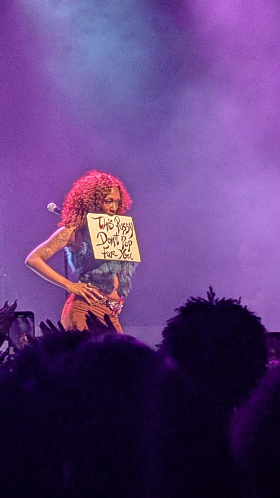 Junglepussy stands firmly arms akimbo with a small placard that says "This pussy don't pop for you" hanging from her mouth.