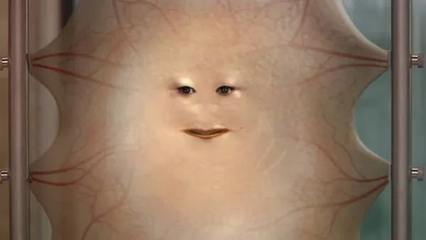 That weird skin lady from doctor who, the one that goes “moisturize me!”