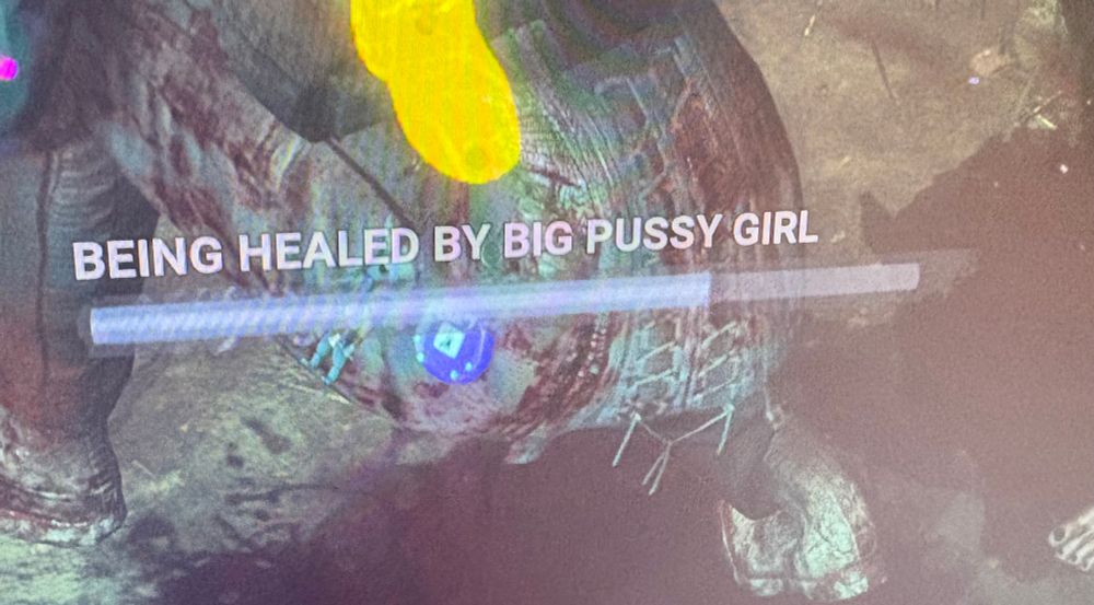A screenshot from dead by daylight with text ready “being healed by big pussy girl”