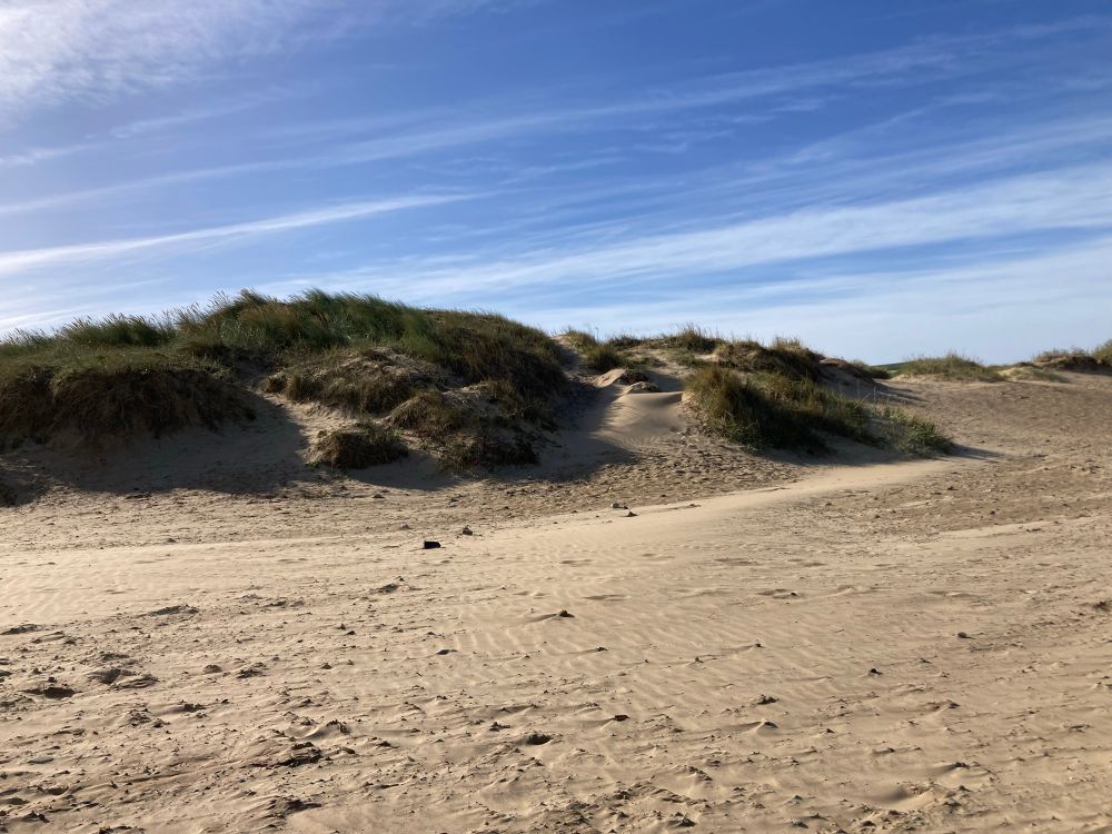 Grassy sand dunes at the edge of a smooth sandy beach form part of North Yorkshire coast at Redcar. Pale blue sky with wispy clouds.