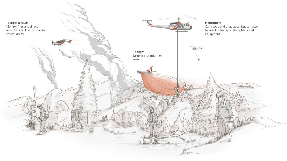 Hand-drawn illustration showing how helicopters and aircraft are used to dump water and flame retardant to help fight wildfires.