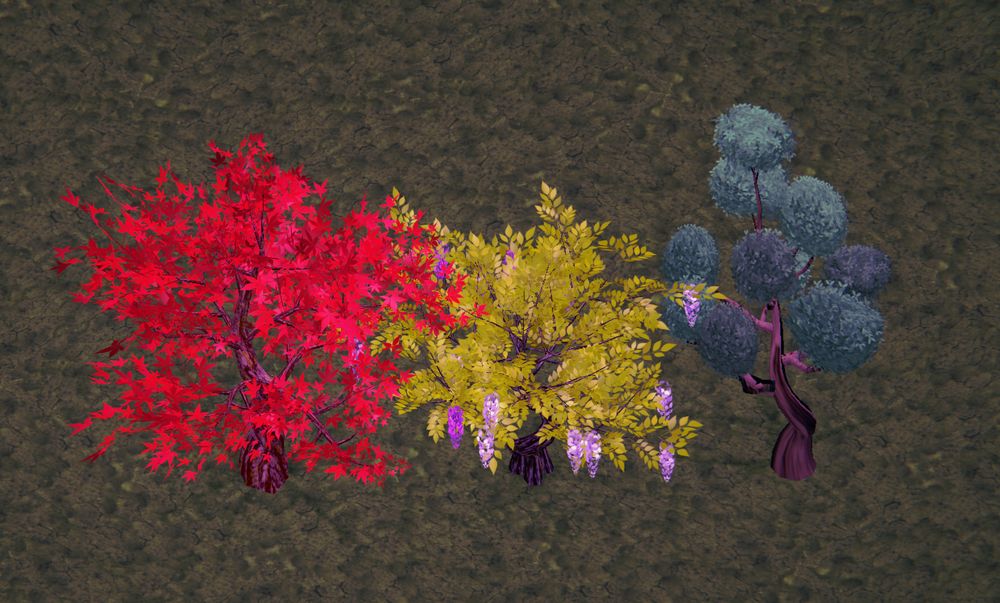 A japanese maple, wisteria, and cloud tree!