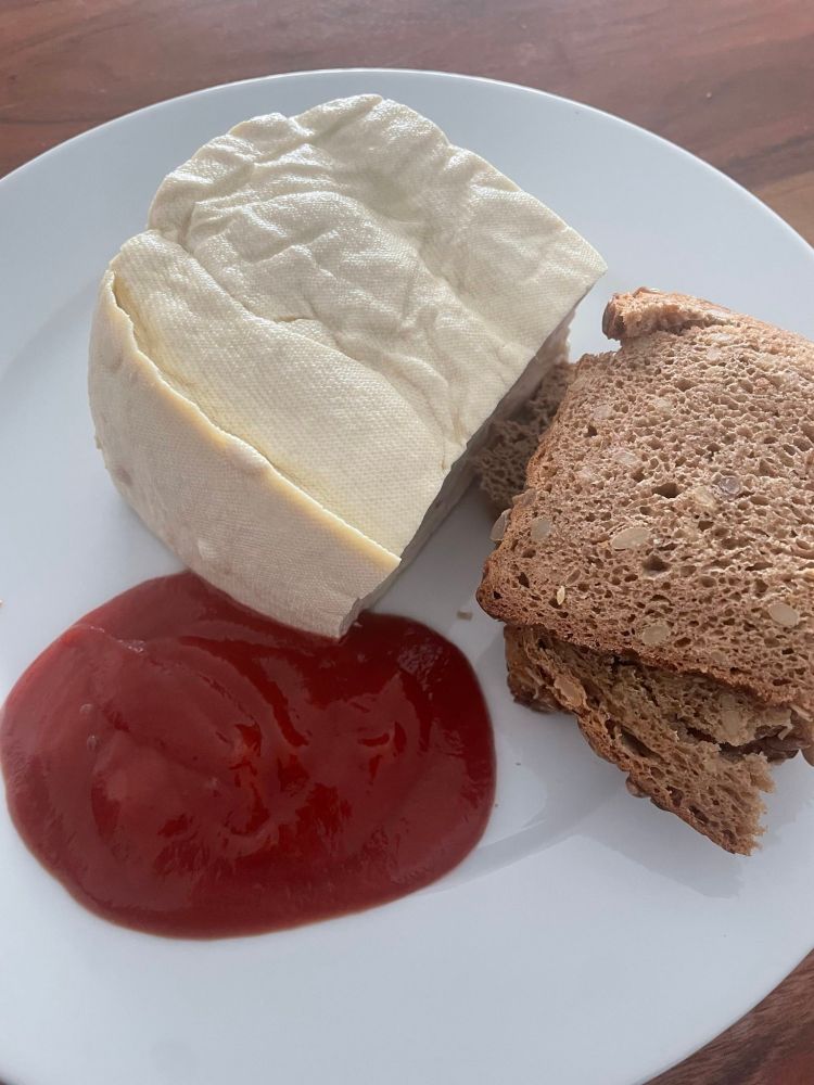 Ein großer Block Tofu, zwei Scheiben Vollkornbrot und ein großer Kleks Ketchup sind Appetitlich auf einem Teller arrangiert