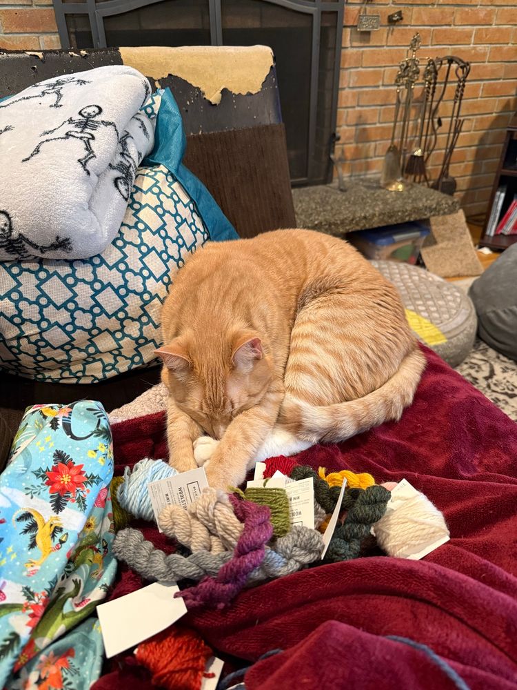 Bowie, an orange tabby cat, is snuggled up on a soft red blanket with mini hanks of yarn in variety of colors. A bright blue fabric craft bag with dinosaurs lays next to the pile of yarn. 