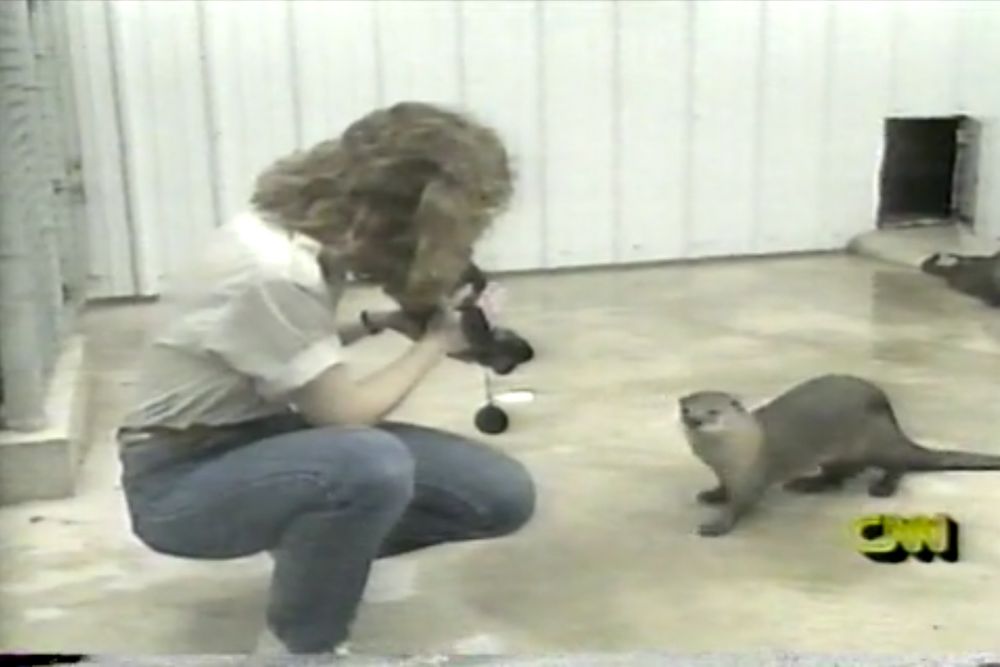 90s woman squats down with a camcorder recording a single otter.
