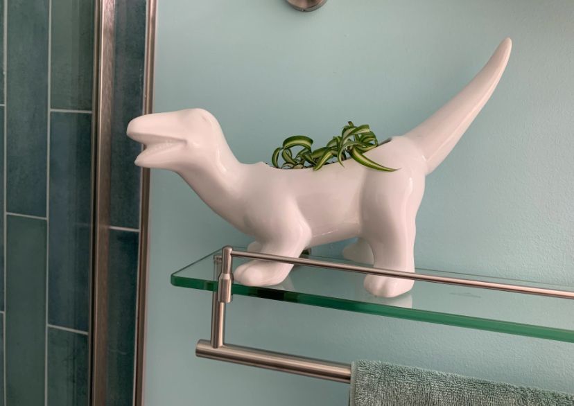Small curly spider plants in a white dinosaur planter sit on a glass shelf in a bathroom. 