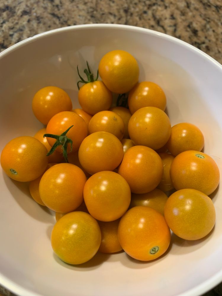 Orange-yellow cherry tomatoes in a white bowl. 
