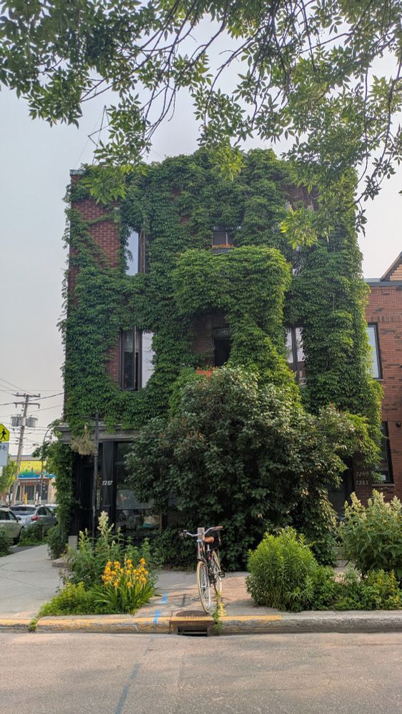 Bâtiment de trois étages recouvert de vignes avec un vélo stationné à l'avant. Le trottoir est également végétalisé avec des plantations entre la rue et l'espace marchable