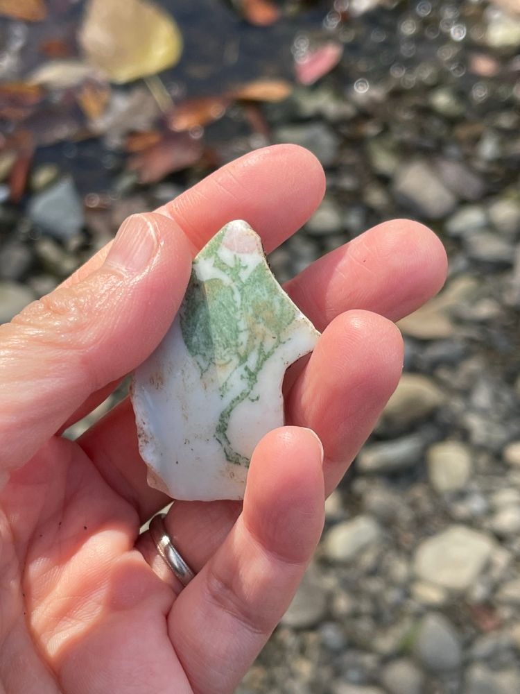 川原でひろった陶器。緑の植物と薄ピンクの花弁。褪せた色だが図鑑のような絵の一部がわかる。