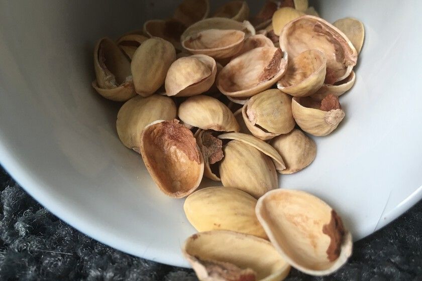 Antes tiraba las cáscaras de pistacho, pero ahora me he dado cuenta de que son un tesoro para mis plantas 