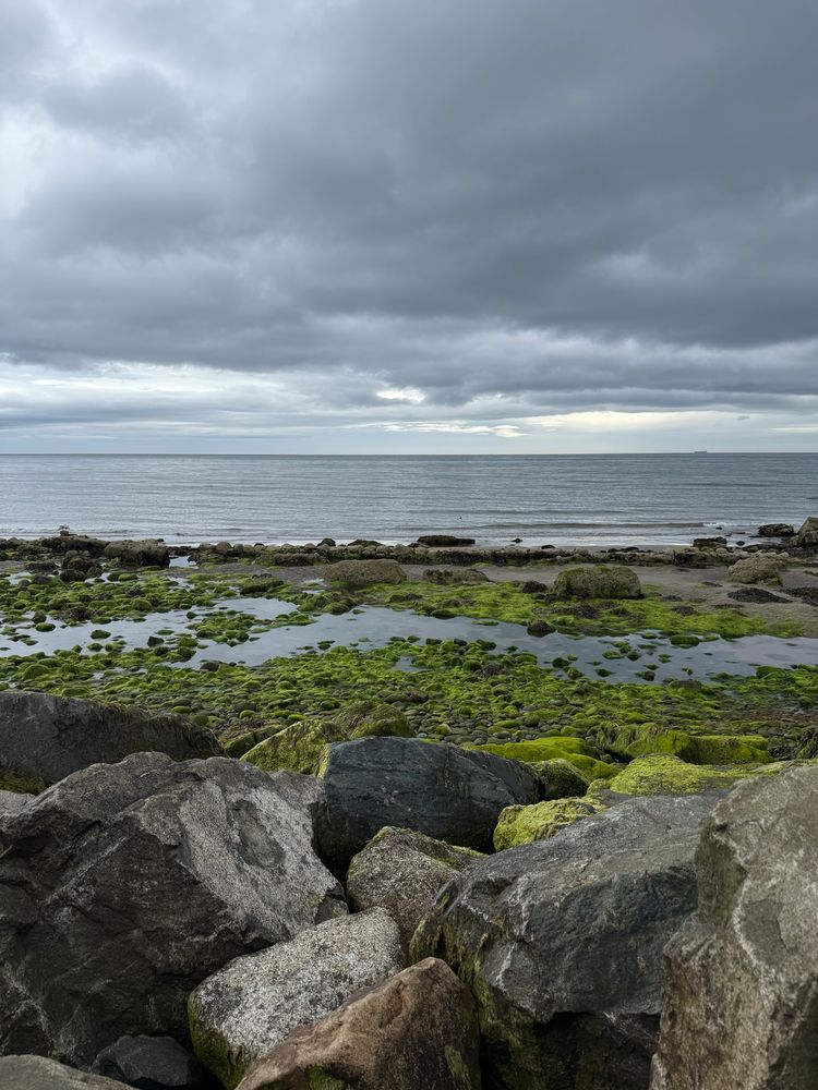 A cloudy sky over the sea with green seaweed-covered rocks in the foreground 