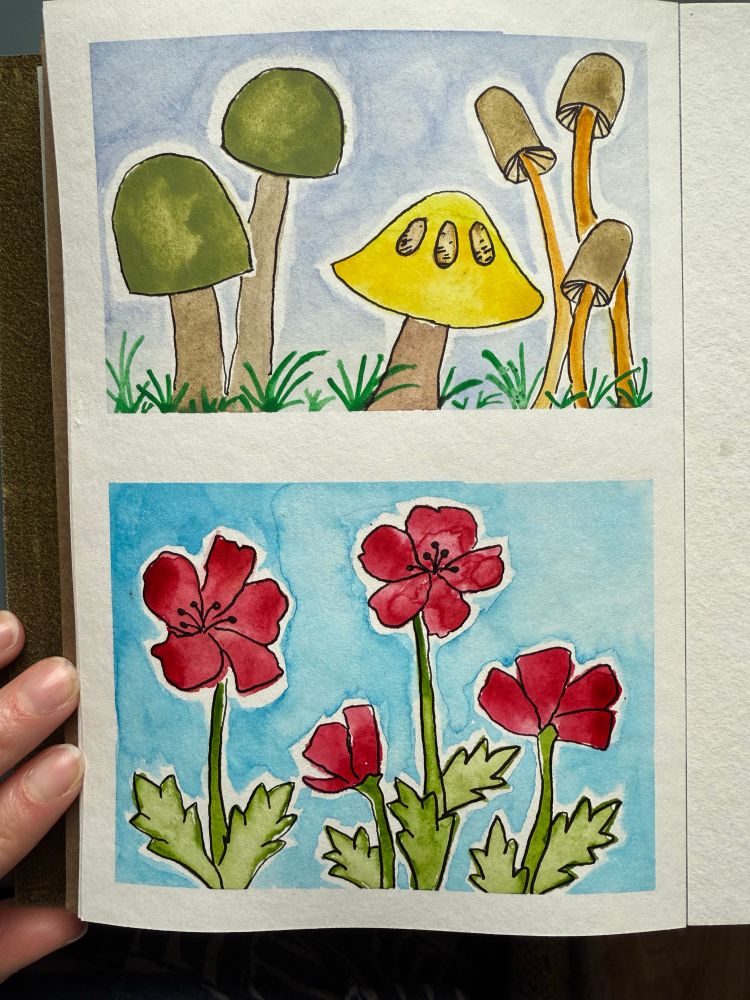 Watercolour paintings of mushrooms and flowers