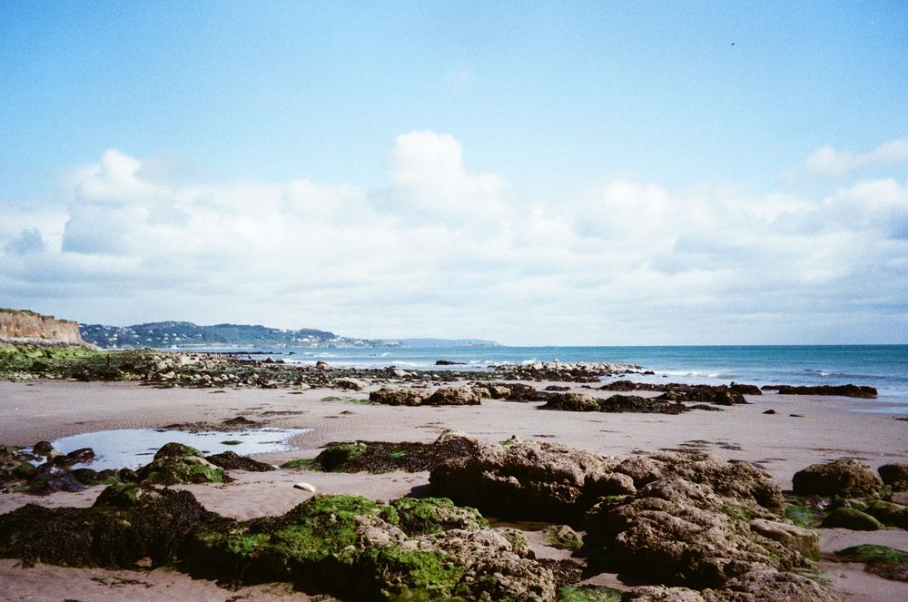 Sand and green algae-covered rocks on a low tide beach with blue sky and white clouds above and cliffs/coastline in the background. 