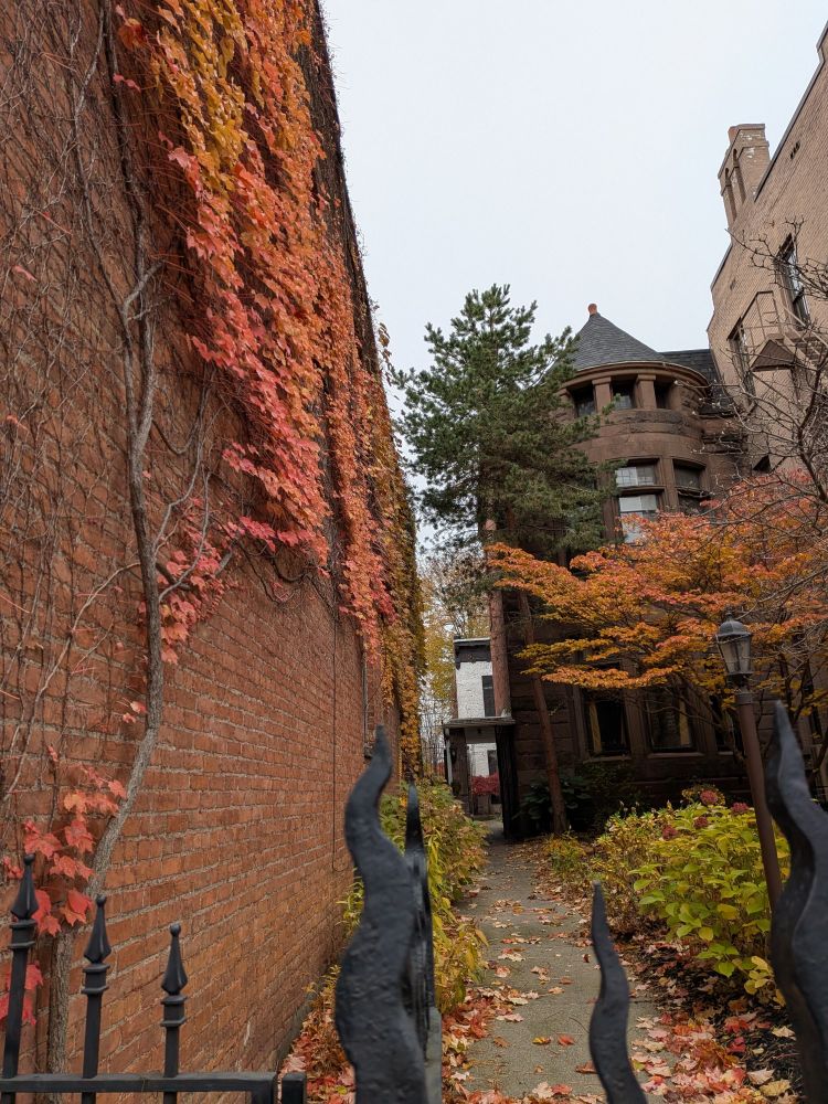 Ivy and iron and brick and stone