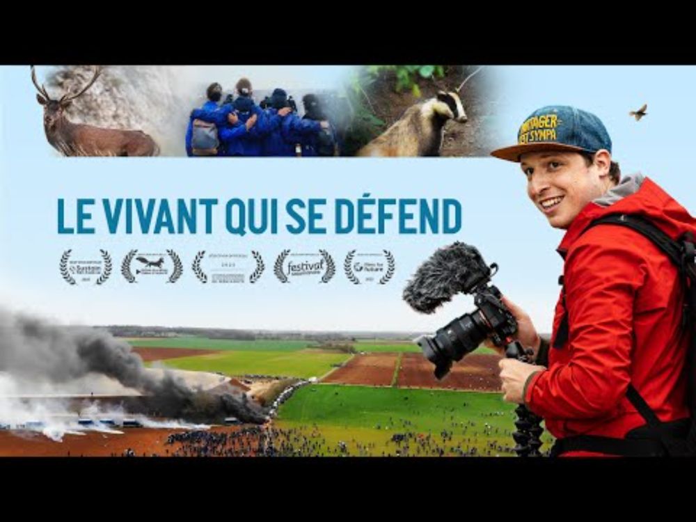 Le VIVANT qui se défend | Documentaire