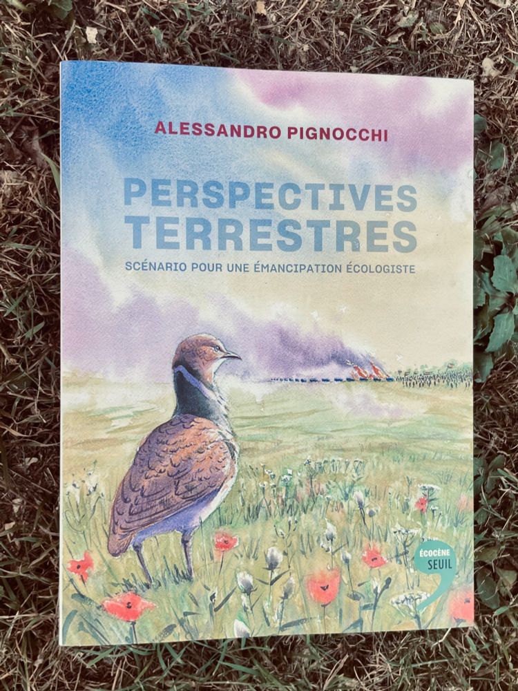 Livre « Perspectives terrestres »