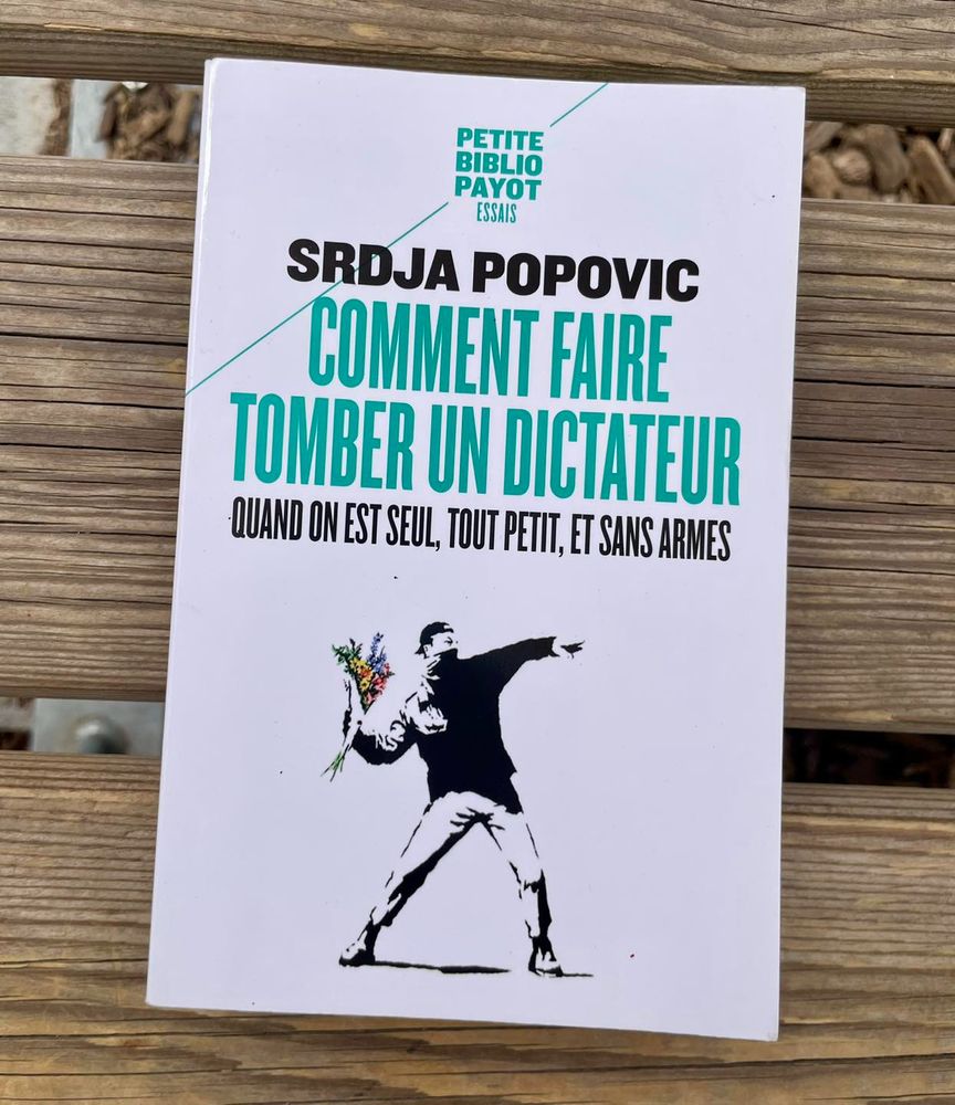 Livre "Comment faire tomber un dictateur quand on est seul, tout petit, et sans armes"