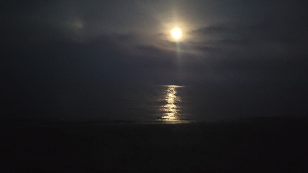 Photo of moon reflecting off water at a beach at night