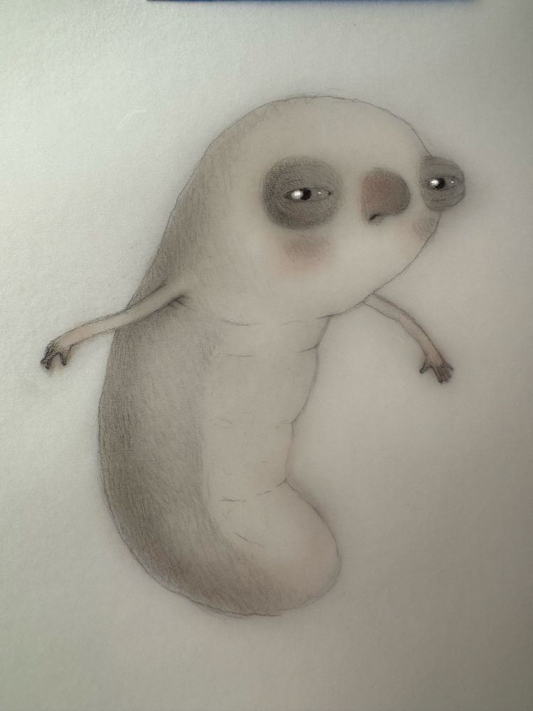 drawing of bub in graphite and watercolor and a little white chalk 