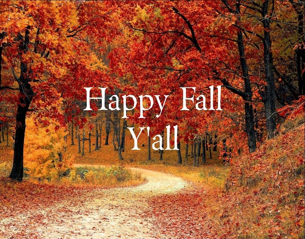 Dirt road with red, yellow ans orange leaves on the trees and ground.