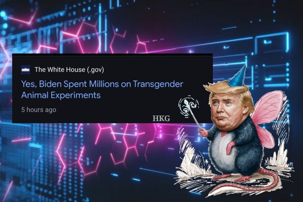 Comment image