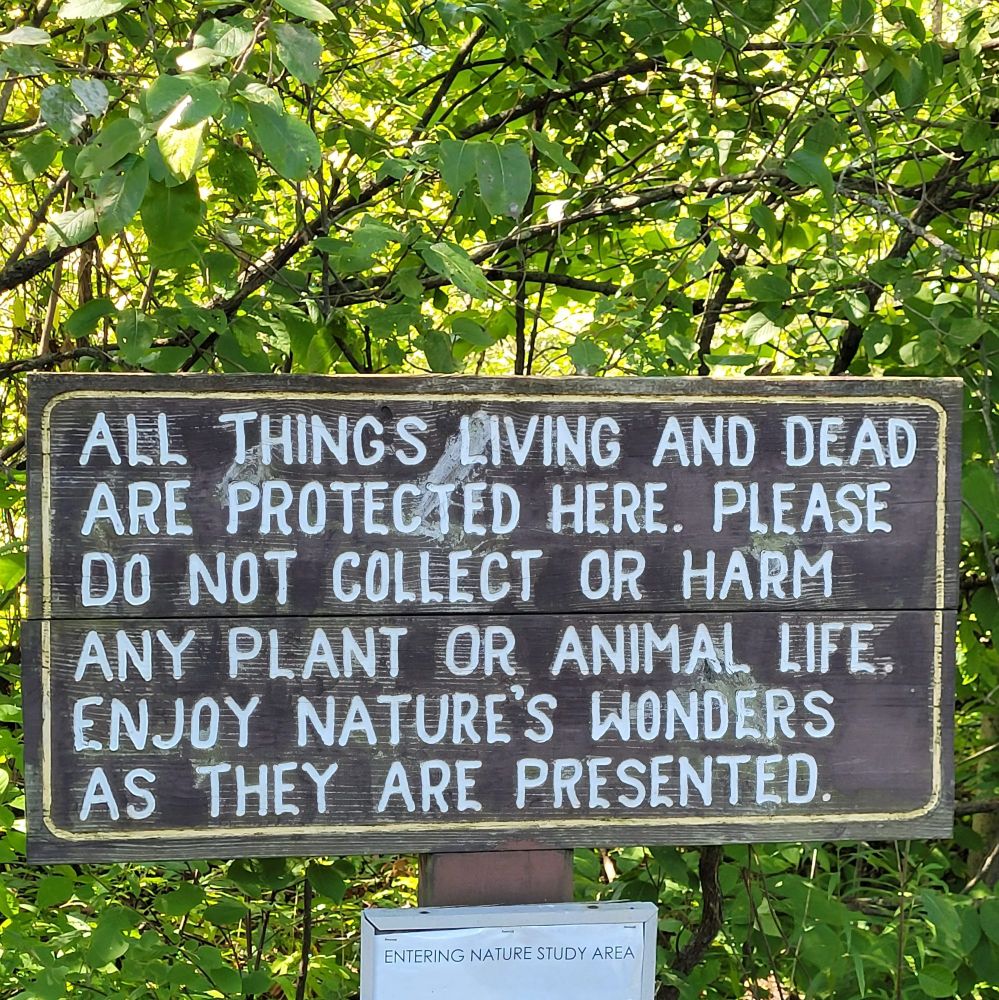 Wooden sign in the forest that says, 