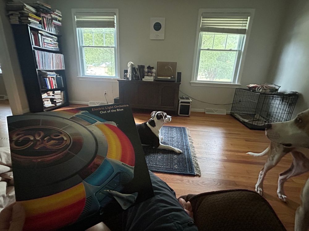 POV sitting on a couch holding the album art for “Out of the Blue” by Electric Light Orchestra. 
Bella the brown dog lays on the blue rug. Bandit the tan dog stands next to the couch. 